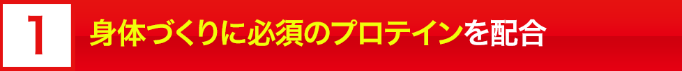 身体作りに必須のプロテインを配合