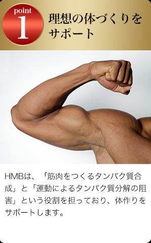 HMBは筋肉をつくるタンパク質合成と運動によるタンパク質分解を防ぐと言われているため体作りをサポートします。