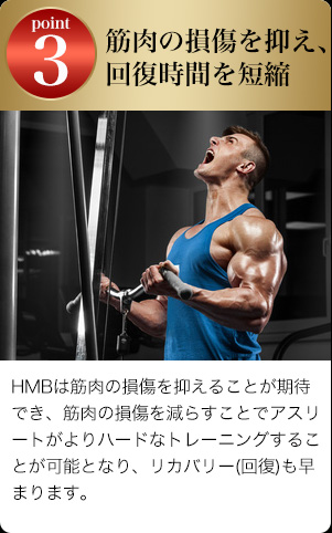HMBは筋肉の損傷を抑える期待が出来るため、ハードなトレーニングが可能となるのでリカバリー(回復)が高まります。