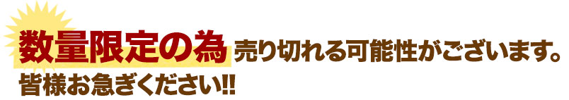 数量限定の為売り切れる可能性がございます。皆様お急ぎください!!